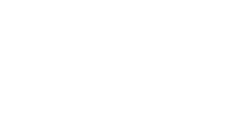 The-Phoenician